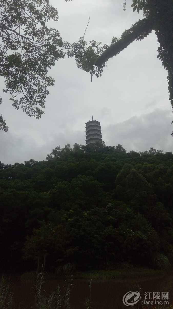 IMG20180816104149.jpg
