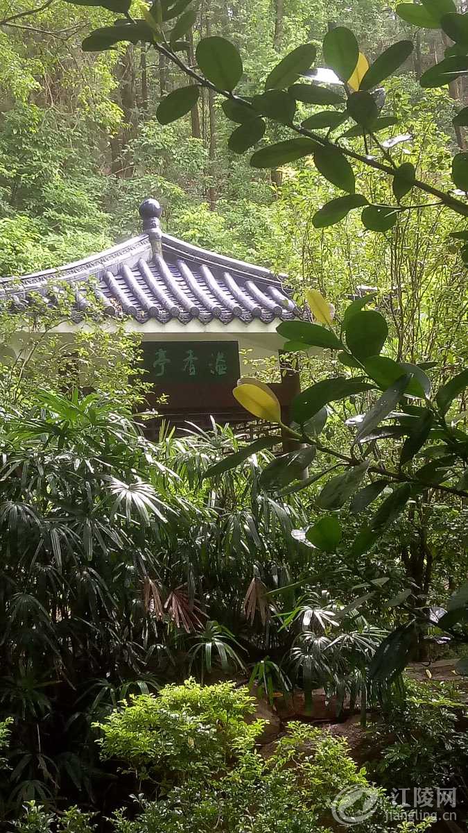 IMG20180816103915.jpg