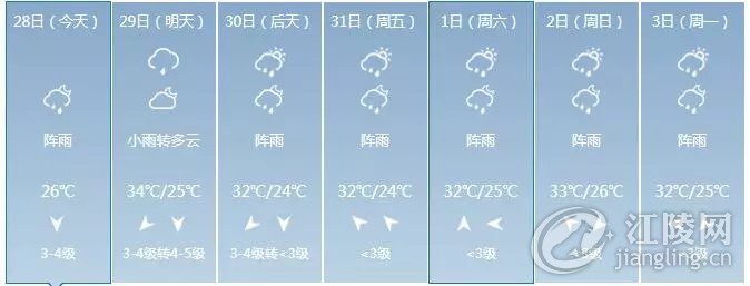 640.webp (16).jpg