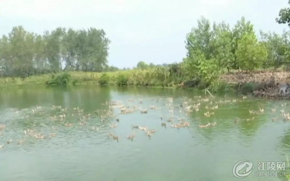 ΢��ͼƬ_20180831191315.jpg