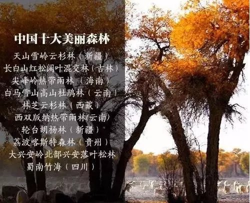 640.webp (17).jpg