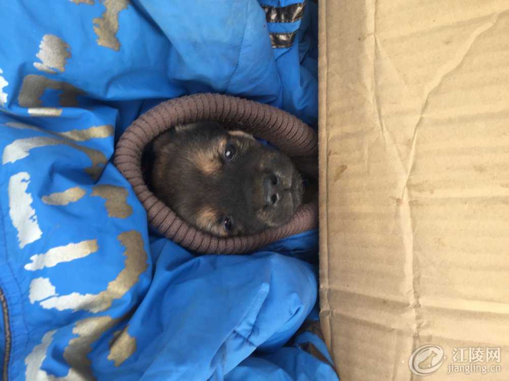 �Ҿ;����ؿ�������