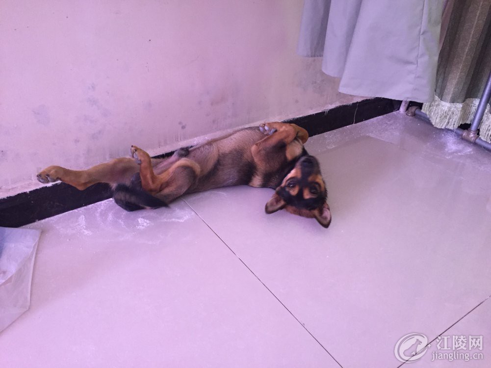 ����������ŷ�����Ը�ģ�ذ���