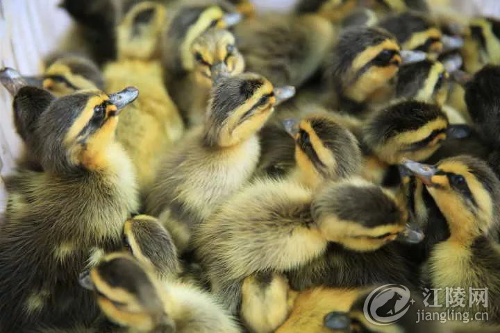 640.webp (16).jpg