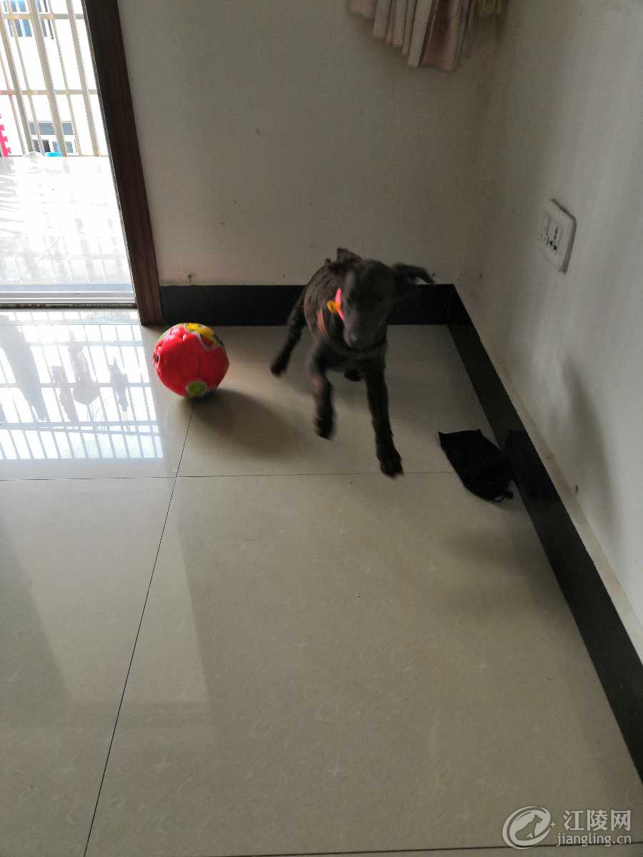 IMG_20181007_085247.jpg