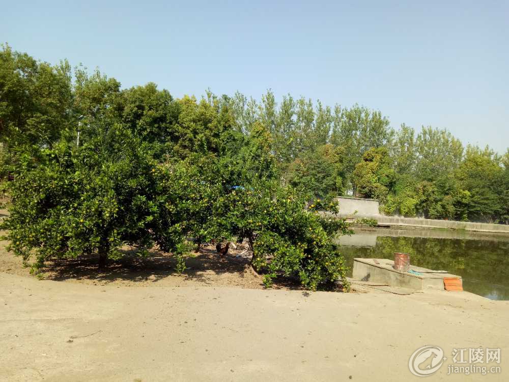 IMG20181011094714.jpg