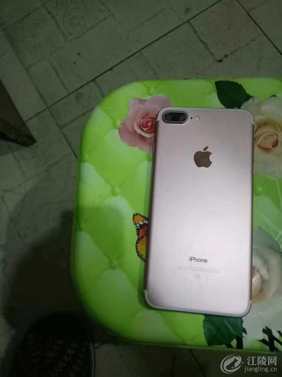 mmexport1539526944551.jpg