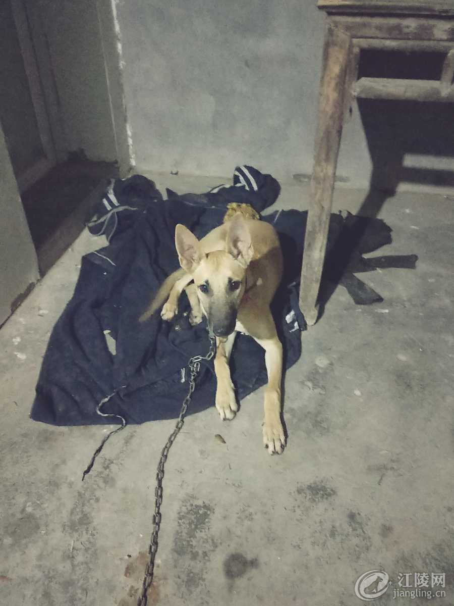 IMG20181021195329.jpg