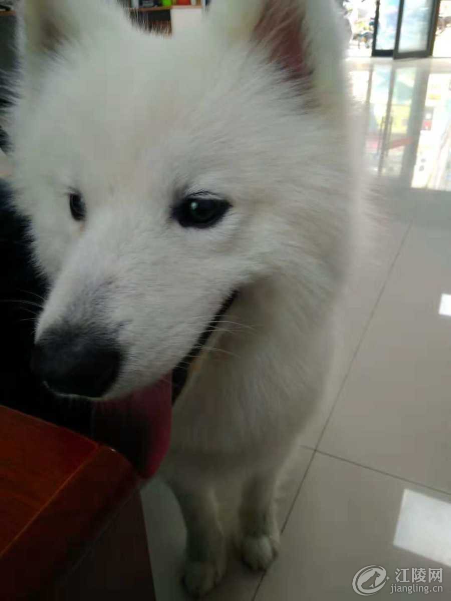 792D5643-DE10-46A3-8F2B-21A8A6B6E8CA.jpeg