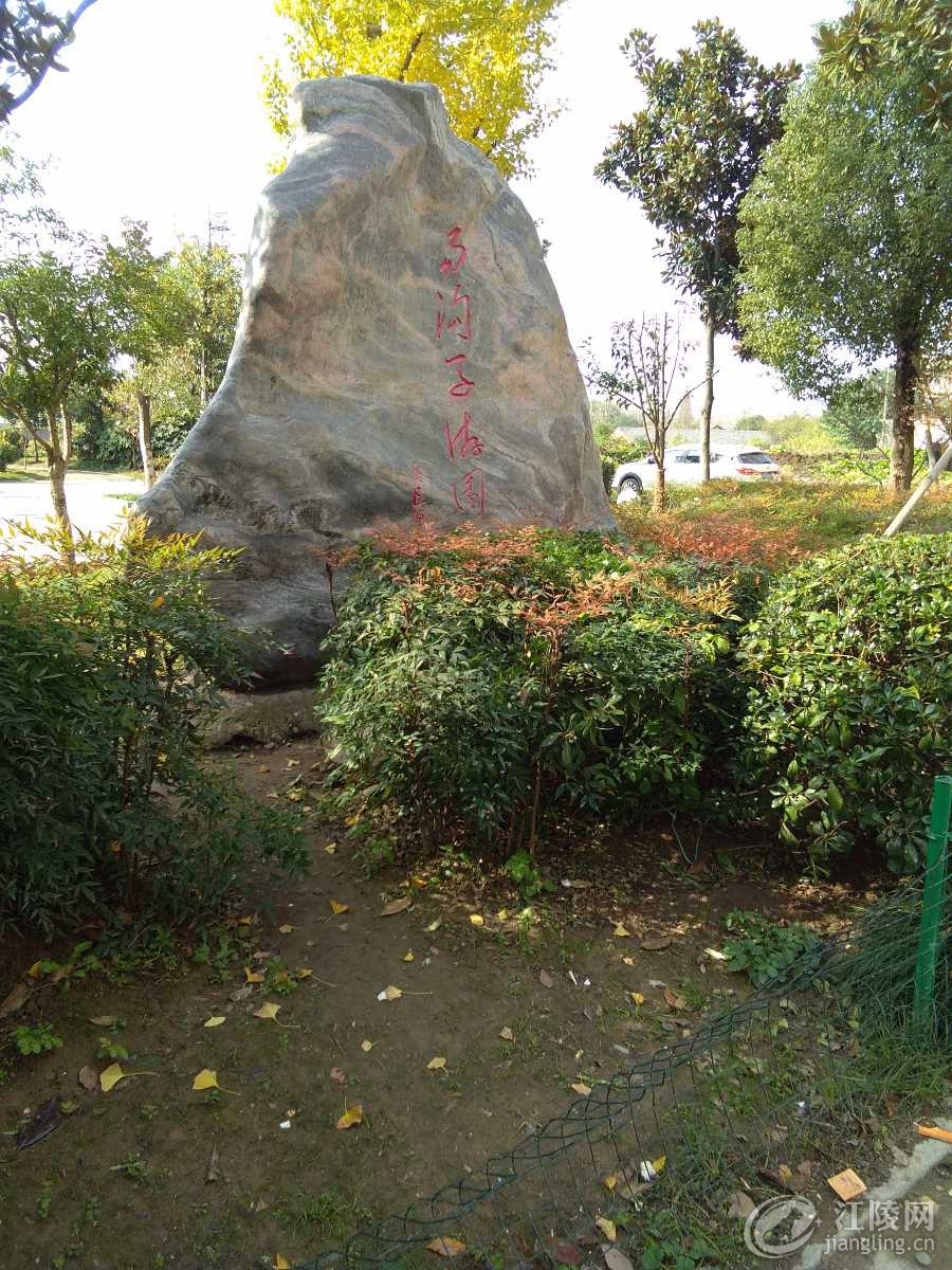IMG_20181119_114038.jpg