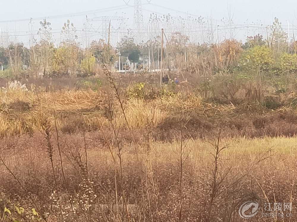 IMG20181128160712.jpg