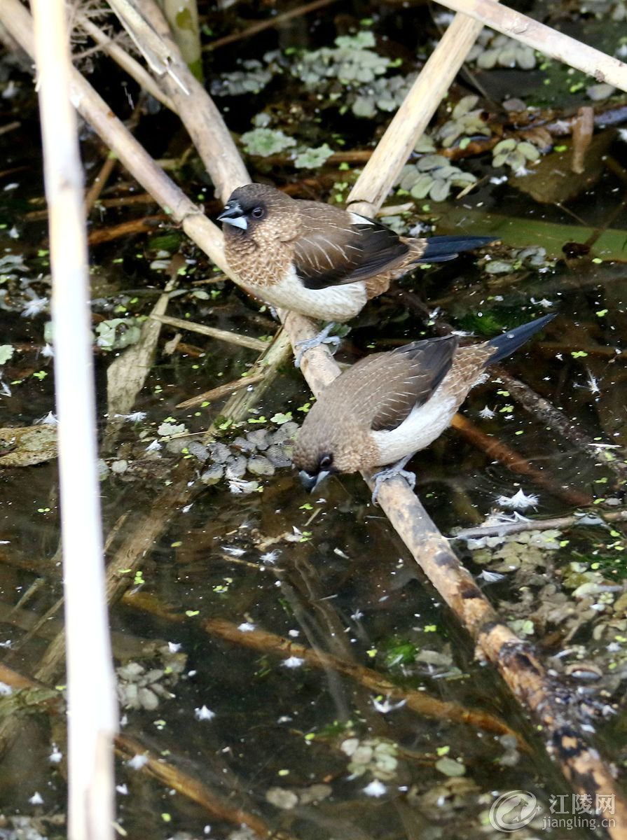 �½��ļ���562A5183_����_����.jpg