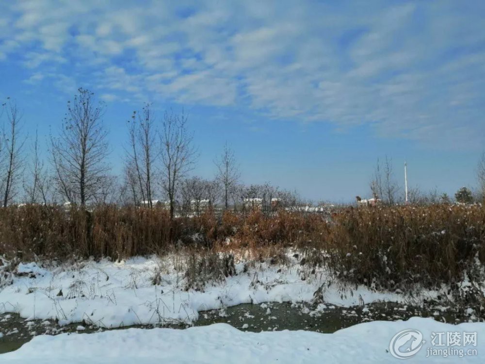 640.webp (11).jpg