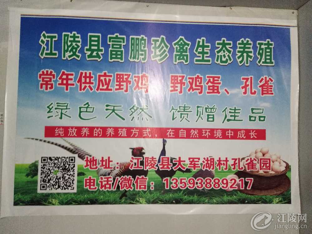 IMG_20190106_194119.jpg