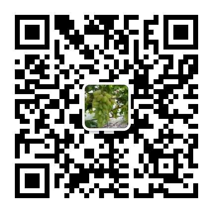 mmqrcode1547619443019.png