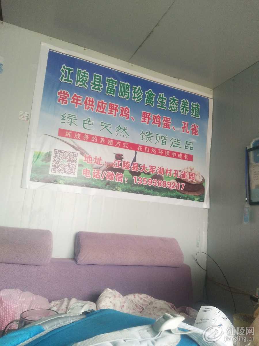 1548384050989.jpg