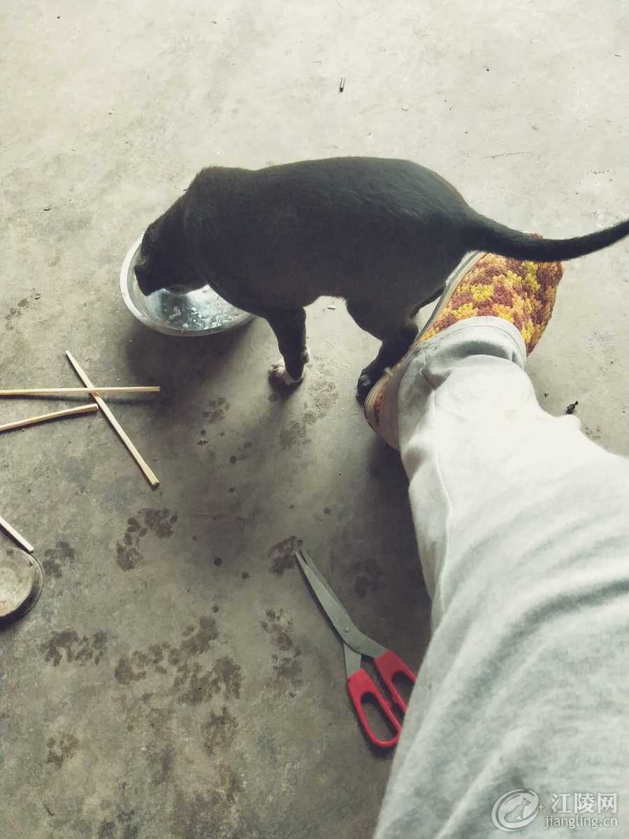 IMG20190130105830.jpg