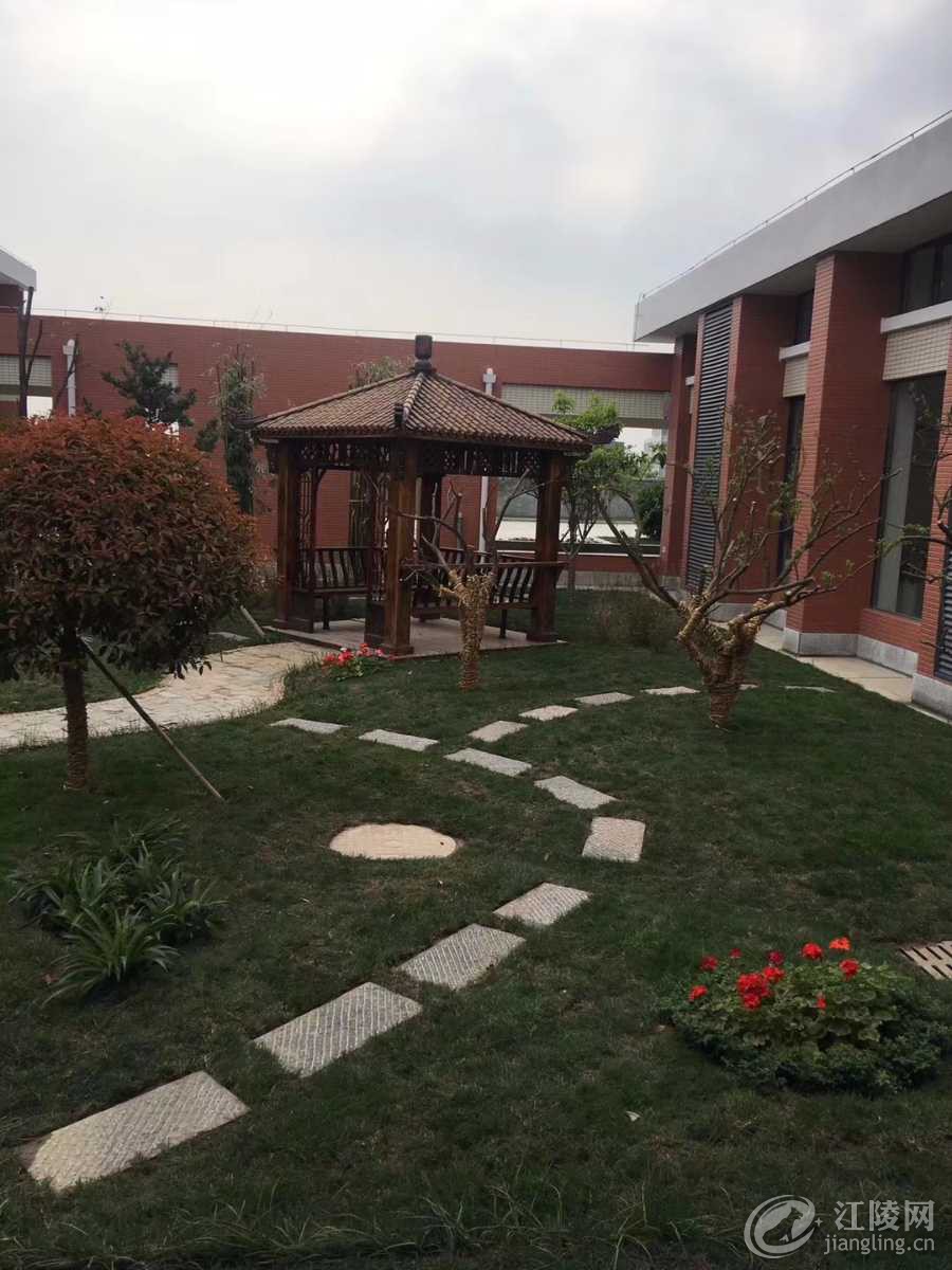 mmexport1548907509580.jpg