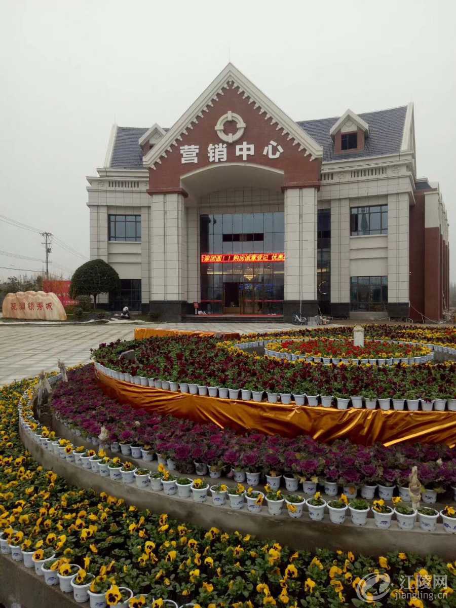 mmexport1549101105308.jpg
