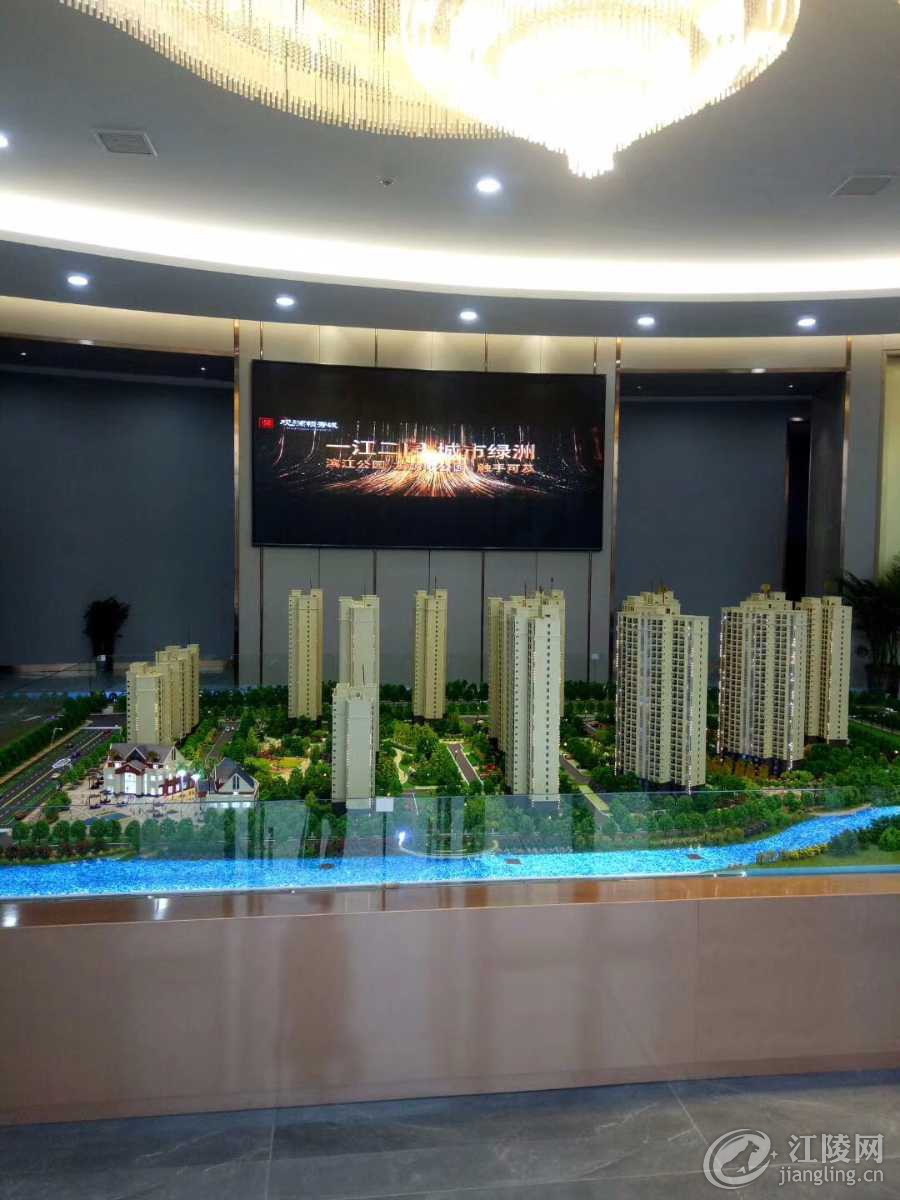 mmexport1549101108400.jpg