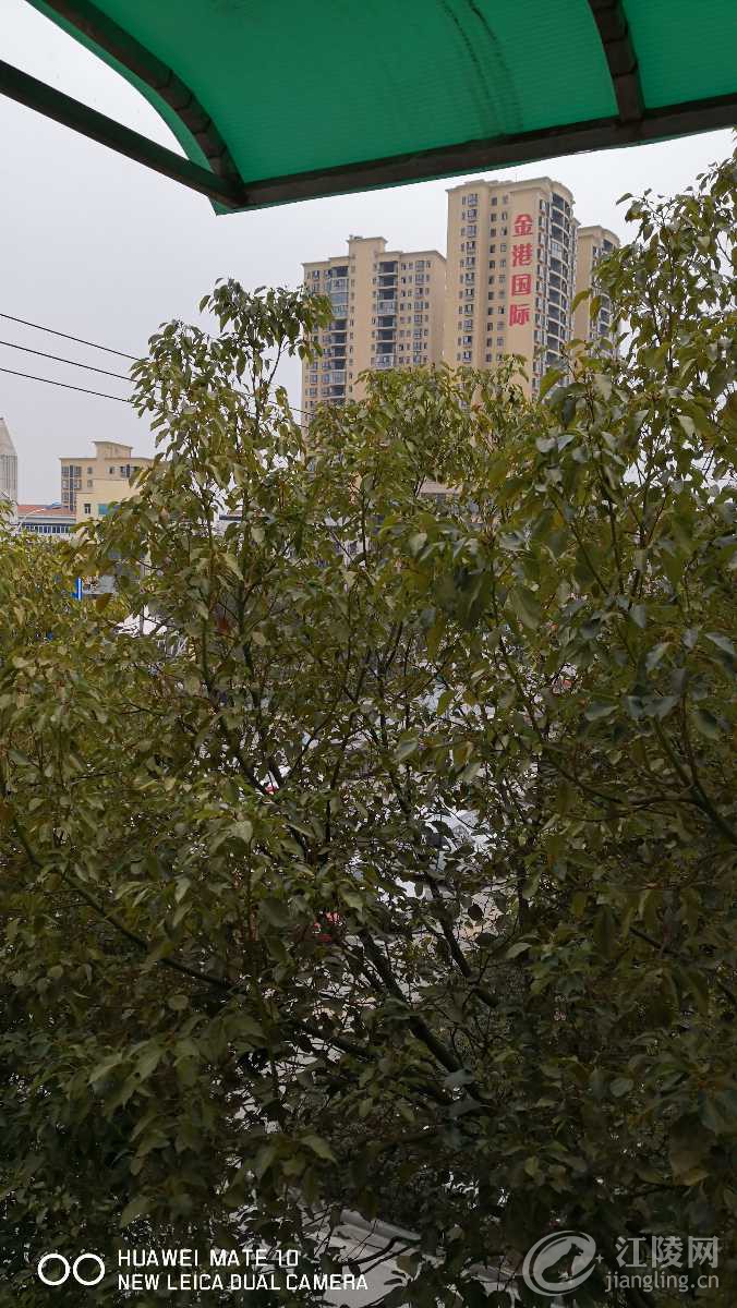 IMG_20190308_104732.jpg