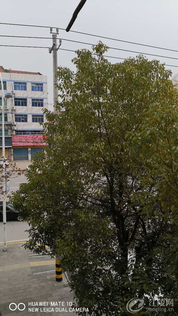 IMG_20190308_104743.jpg