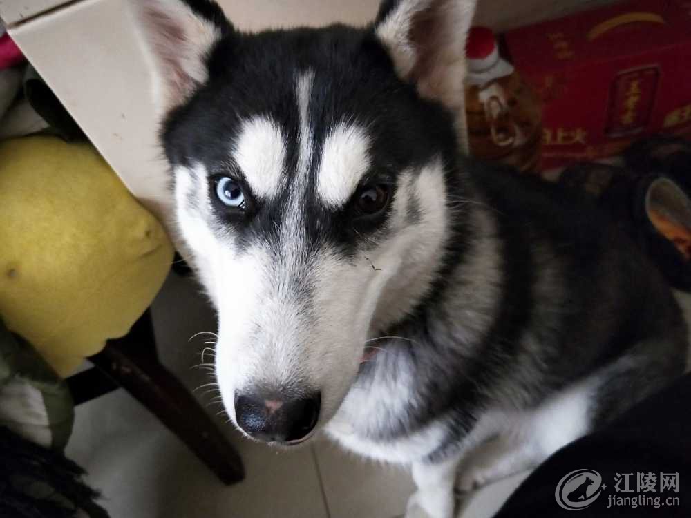 IMG20190124121050.jpg