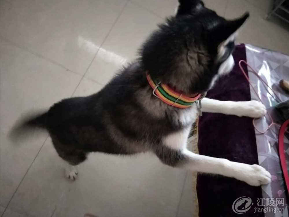 IMG20190116115549.jpg