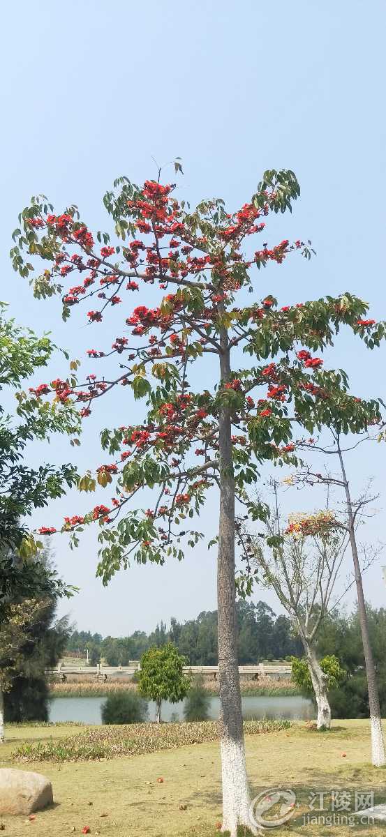 IMG20190318132951.jpg