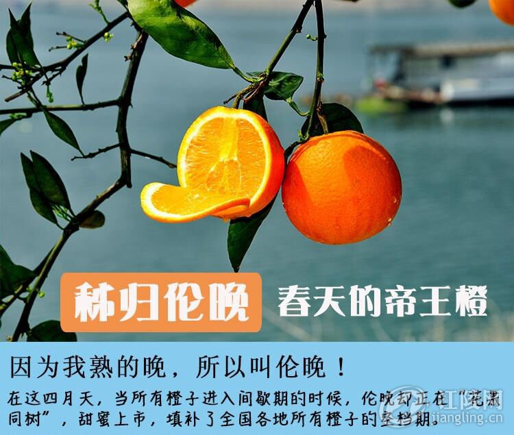 QQͼƬ20190319155531.jpg
