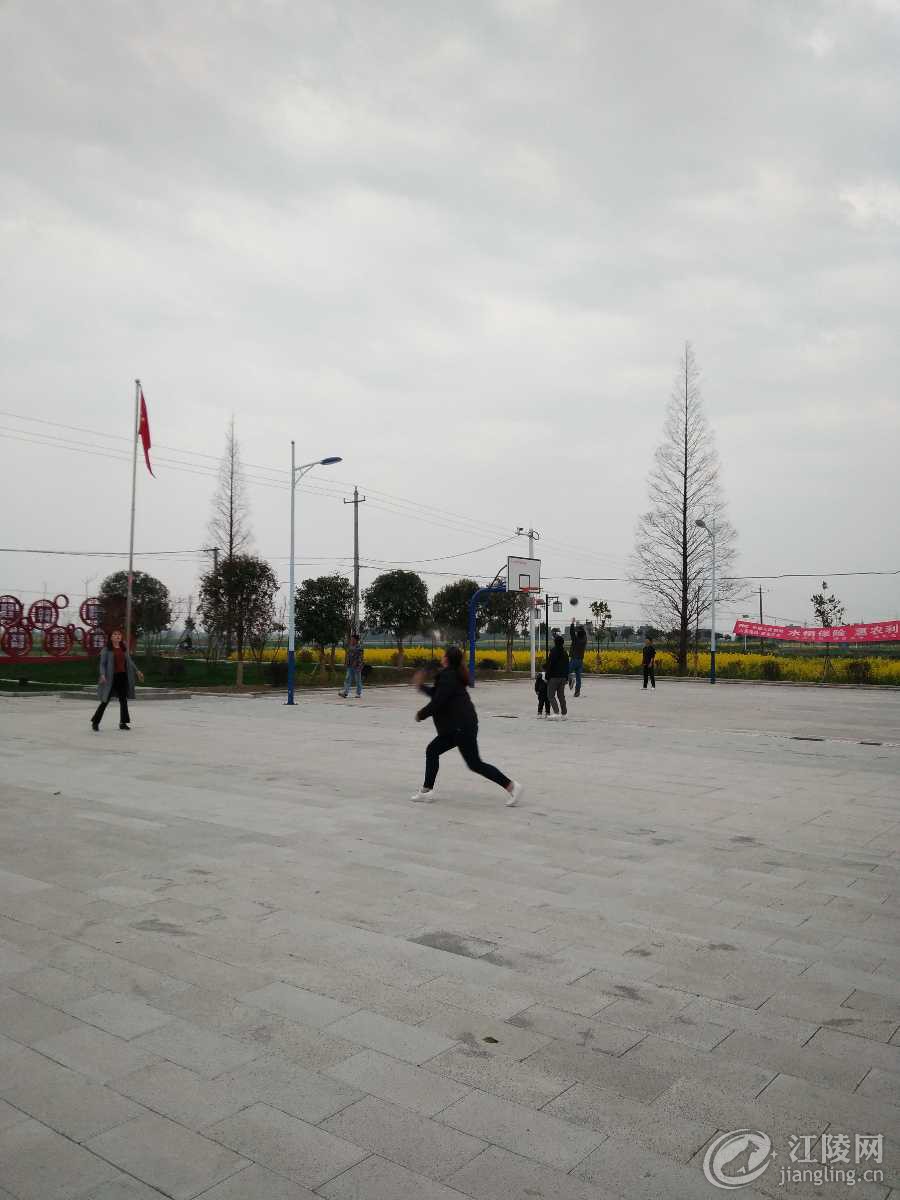 IMG_20190319_175447.jpg