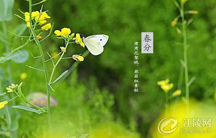 640.webp (23).jpg