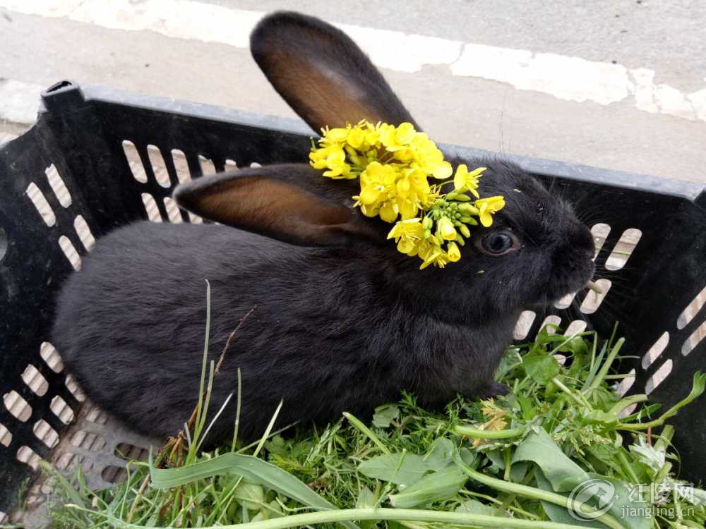 IMG20190326092701.jpg