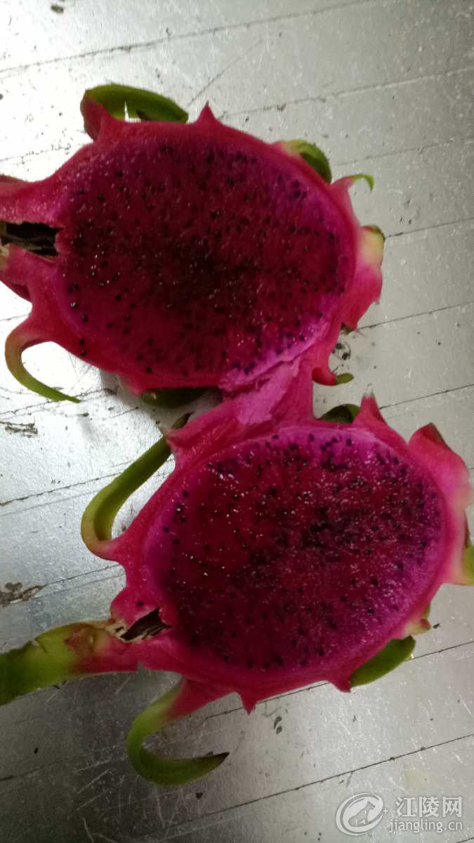 IMG20190429081320.jpg