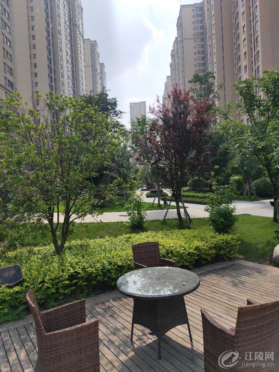 IMG20190517152655.jpg