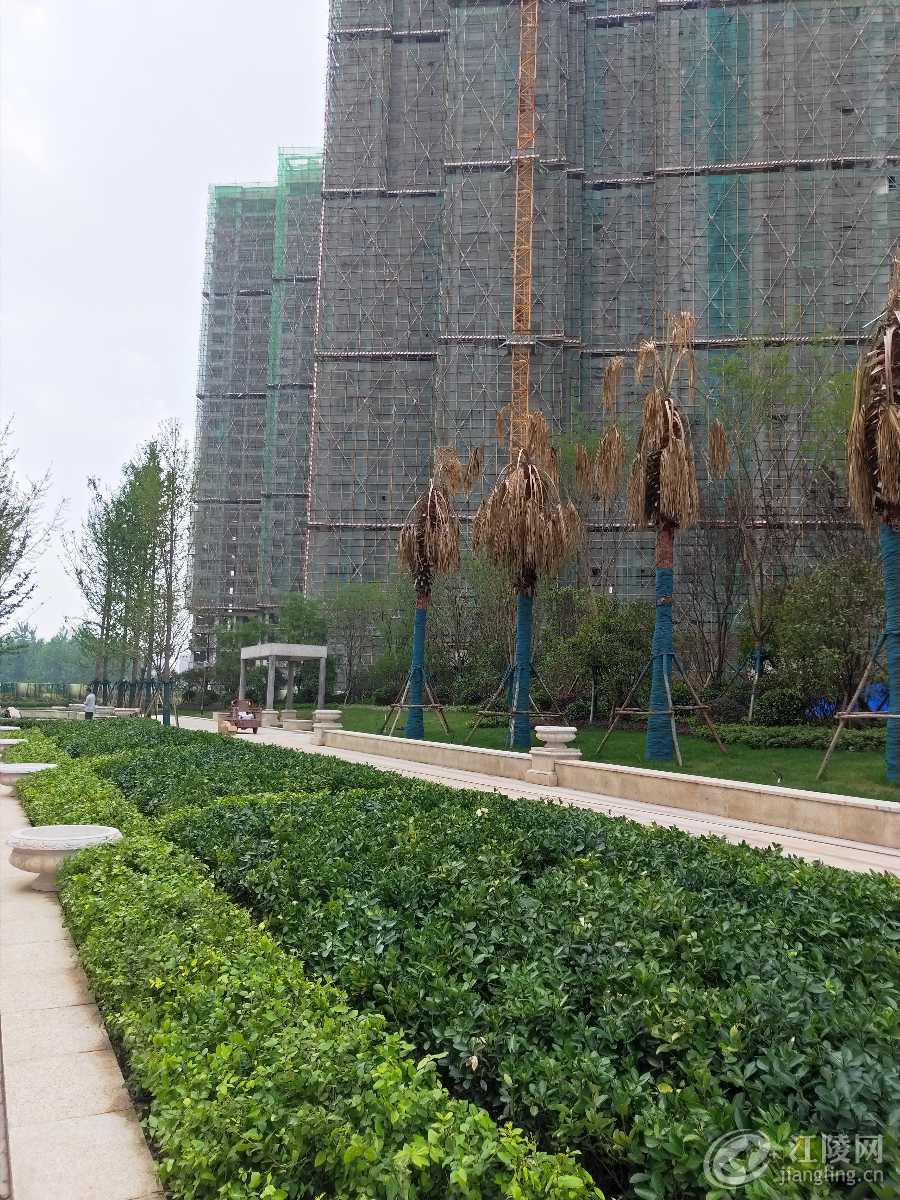 IMG20190517152041.jpg