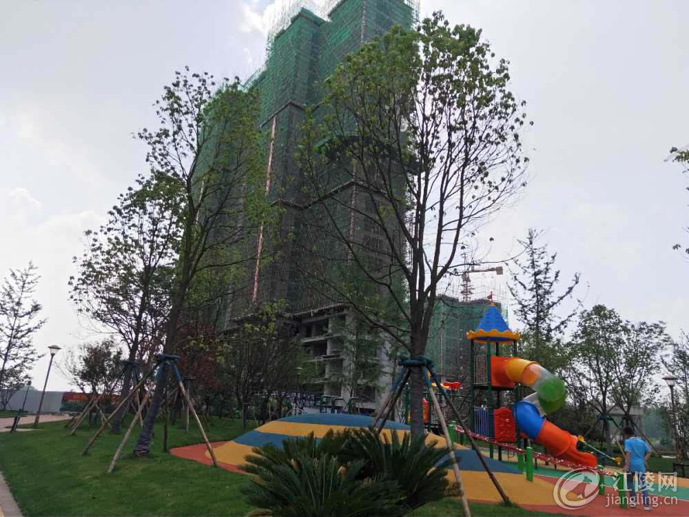 IMG20190517152229.jpg