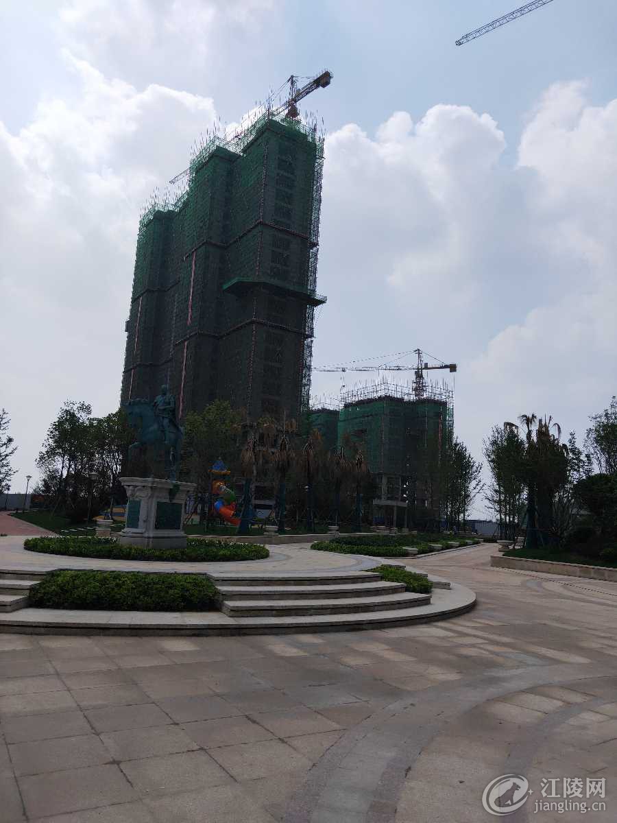 IMG20190517145329.jpg