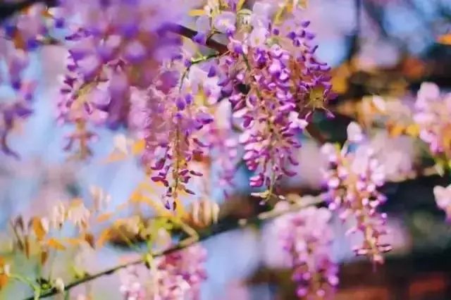 640.webp (25).jpg
