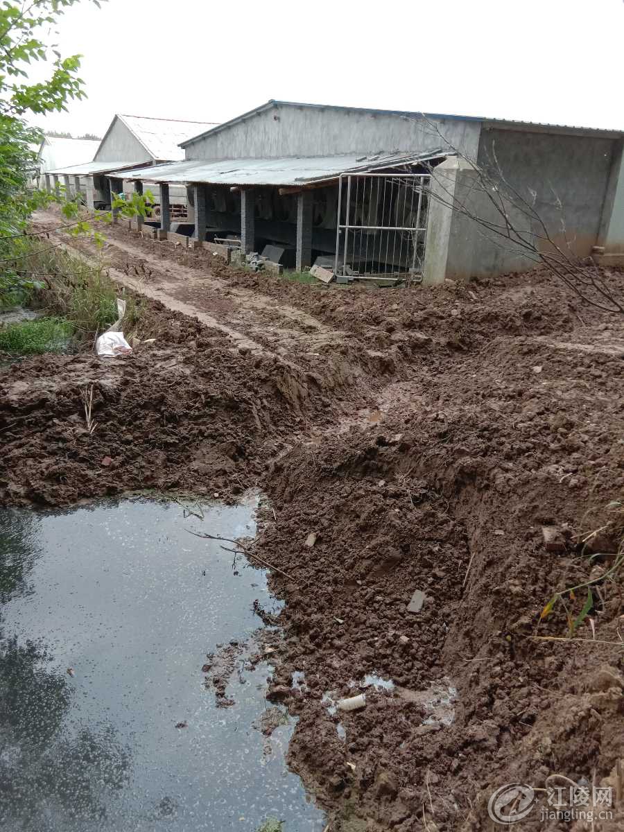 1558345580540.jpg