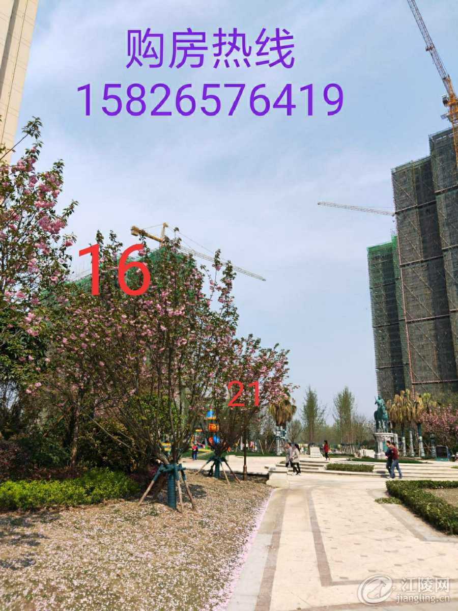 IMG_20190524_223454.jpg