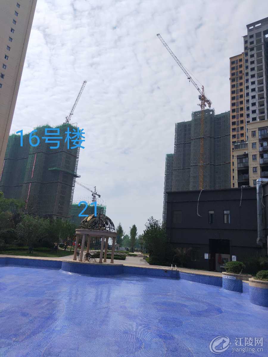 IMG_20190524_222803.jpg