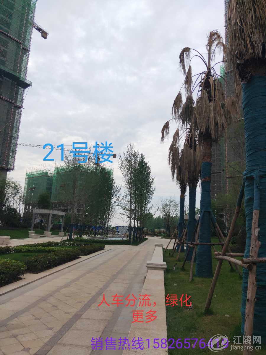 IMG_20190524_224417.jpg