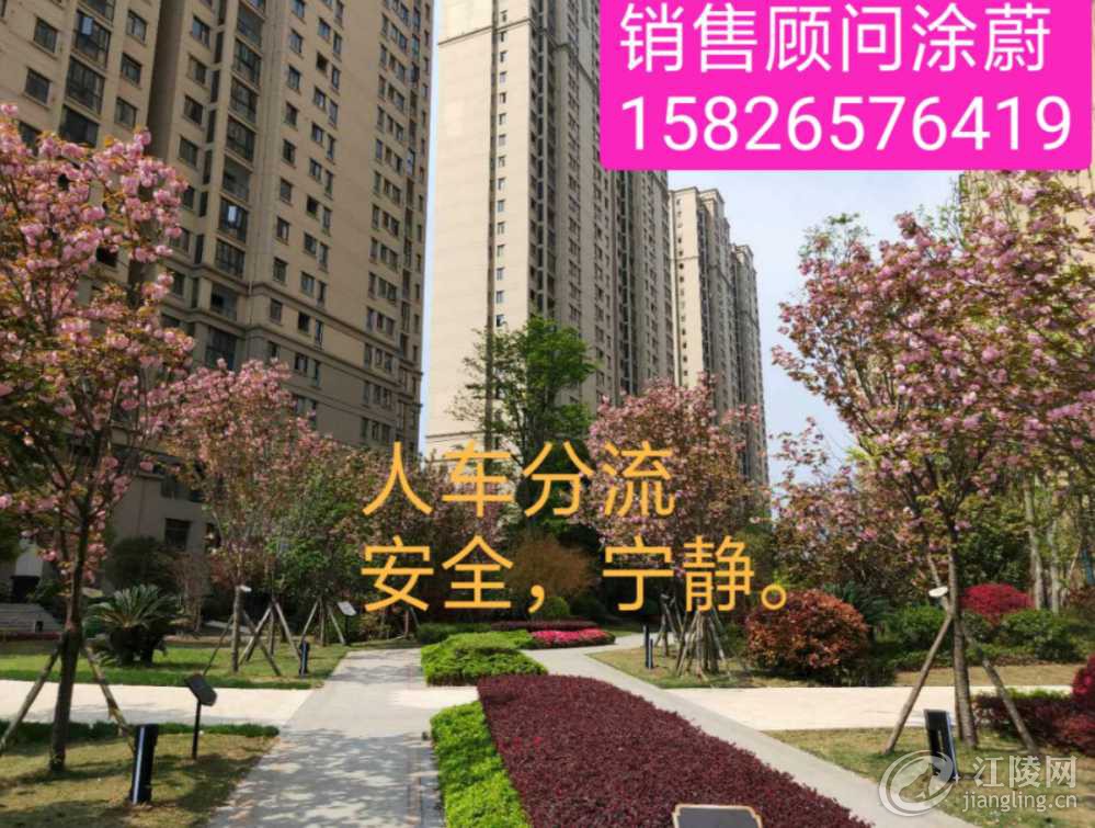 IMG_20190524_224703.jpg