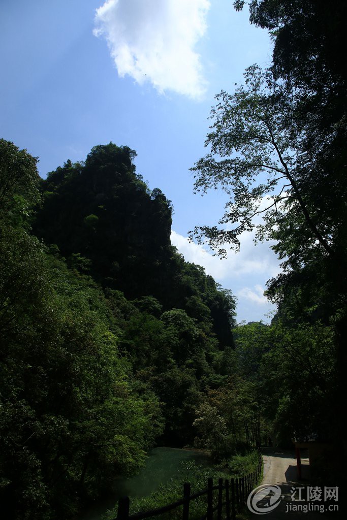 562A9558_����.jpg