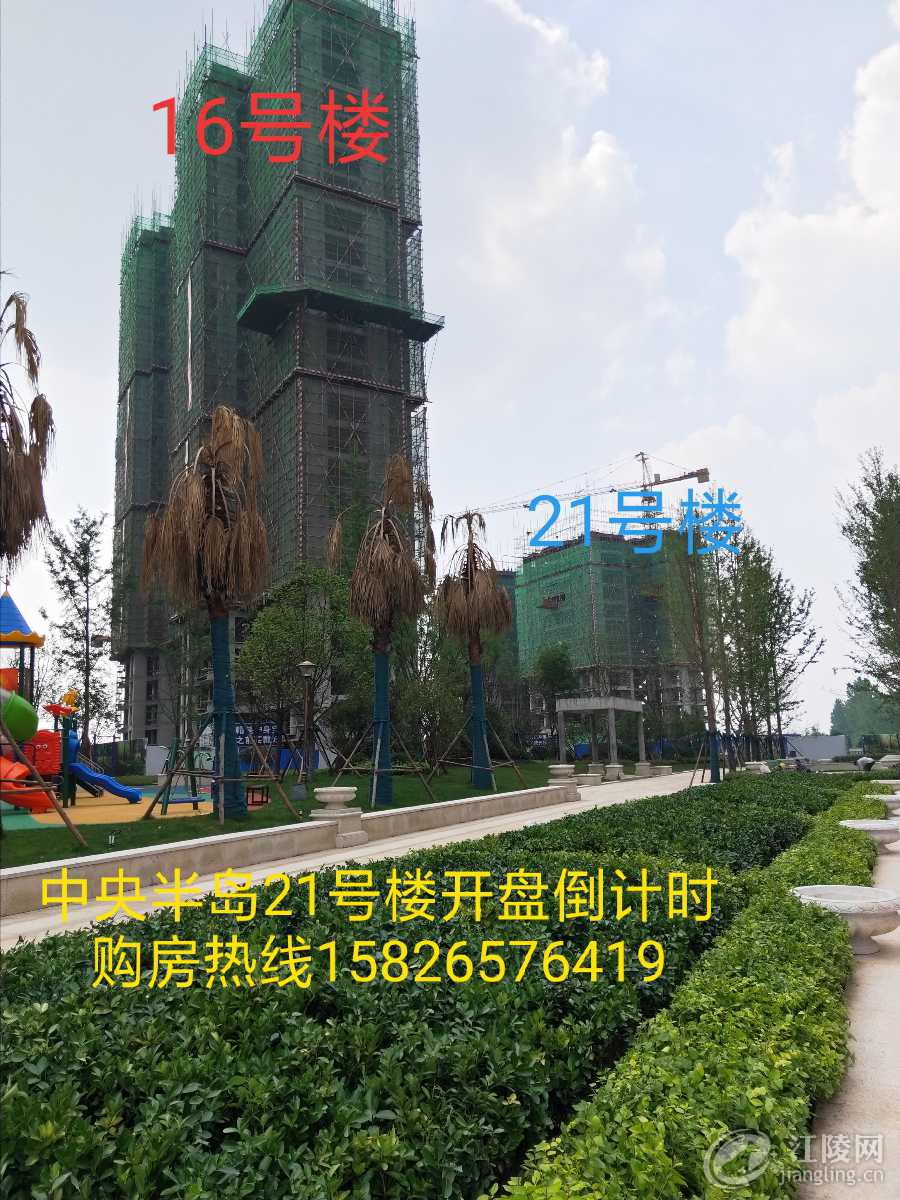 IMG_20190605_103518.jpg