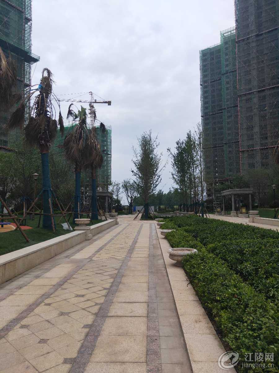 IMG20190605120545.jpg