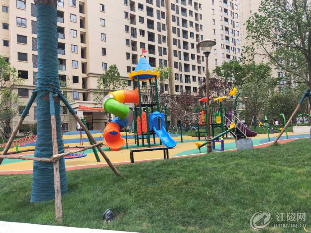 IMG20190605120526.jpg