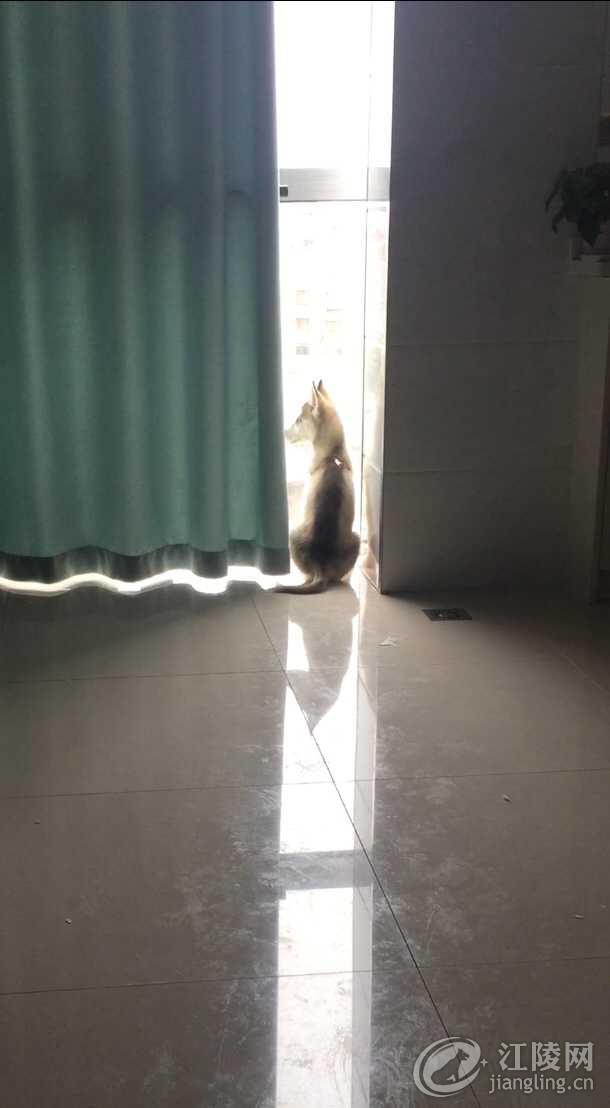 F5F554A4-C4AA-4C11-B914-995D4365FAD0.jpeg