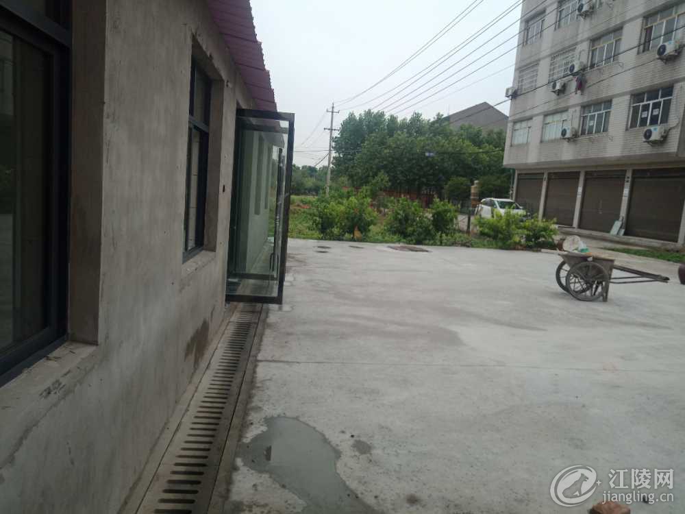IMG20190612114808.jpg
